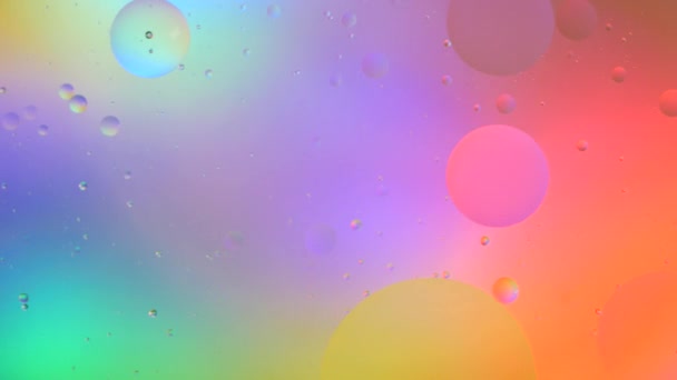 Mouvement Des Bulles Huile Dans Liquide Surface Huile Fond Multicolore — Video