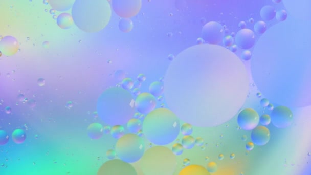 石油泡沫运动的头像 油面呈彩色背景 五彩斑斓的气泡的奇妙结构 浮在水面上的油滴的生动艺术形象 — 图库视频影像