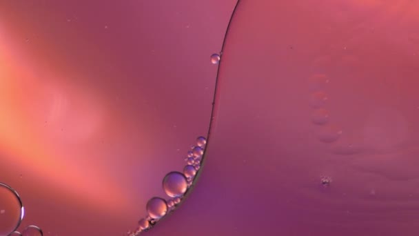 多彩的油滴在水面上飘浮的艺术 — 图库视频影像