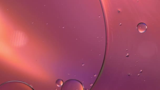 多彩的油滴在水面上飘浮的艺术 — 图库视频影像