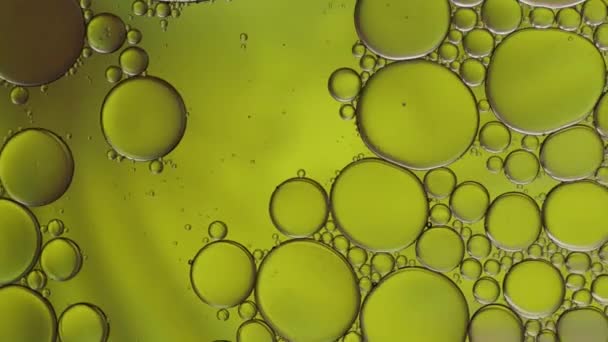 Bunte Kunst Von Öltropfen Die Auf Dem Wasser Treiben — Stockvideo