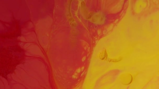 Абстрактный Цветовой Дизайн Красочный Вихревой Фон Акриловый Цвет Фона — стоковое видео