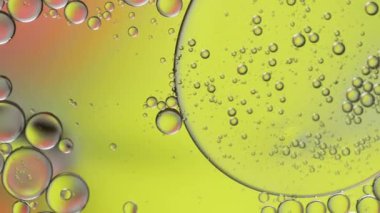 Suyun üzerinde yüzen yağ damlasının renkli sanatçısı.