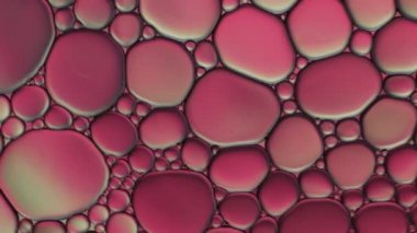 Suyun üzerinde yüzen yağ damlasının renkli sanatçısı.