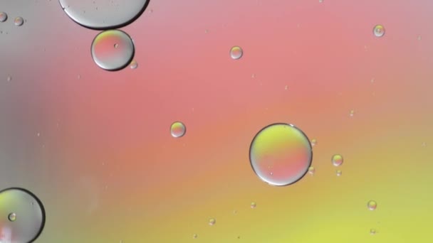 Kolorowe Artystyczne Kropli Oleju Pływające Wodzie — Wideo stockowe
