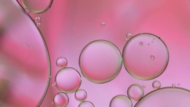 Вид Сверху Движения Нефтяных Пузырей Жидкости Многоцветный Фон Поверхности Масла — стоковое видео