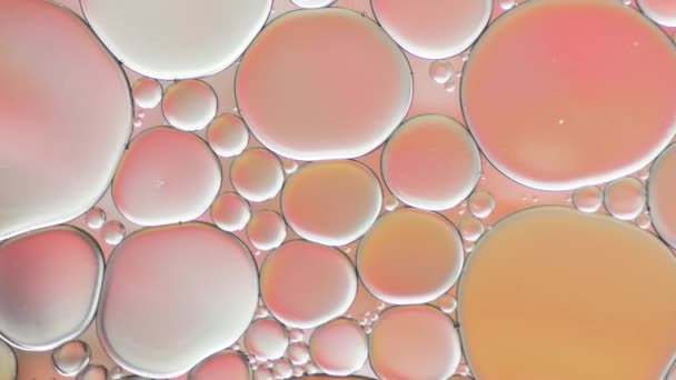 液体中の油泡のトップビューの動き 油面多色の背景 カラフルな泡の素晴らしい構造 水の上に浮かぶ油滴のカラフルな芸術的イメージ — ストック動画