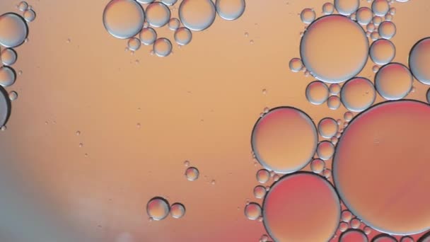水の上に浮かぶ油滴のカラフルな芸術 — ストック動画