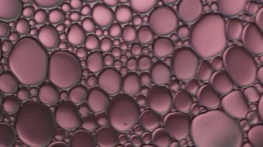 Suyun üzerinde yüzen yağ damlasının renkli sanatçısı.