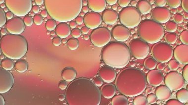 Suyun üzerinde yüzen yağ damlasının renkli sanatçısı.