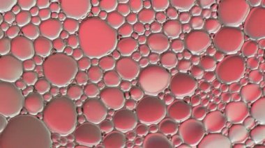 Suyun üzerinde yüzen yağ damlasının renkli sanatçısı.