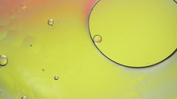 Πολύχρωμο Καλλιτεχνικό Της Σταγόνα Πετρελαίου Επιπλέουν Στο Νερό — Αρχείο Βίντεο
