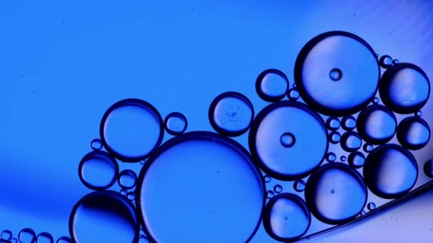 Bewegung Von Ölblasen Von Oben Öloberfläche Mehrfarbigen Hintergrund Fantastische Struktur — Stockvideo