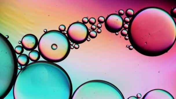 オイルバブルのトップビューの動き 油面多色の背景 カラフルな泡の素晴らしい構造 水の上に浮かぶ油滴のカラフルな芸術的イメージ — ストック動画