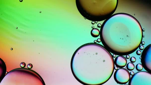 オイルバブルのトップビューの動き 油面多色の背景 カラフルな泡の素晴らしい構造 水の上に浮かぶ油滴のカラフルな芸術的イメージ — ストック動画