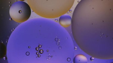 Suyun üzerinde yüzen yağ damlasının renkli sanatçısı.