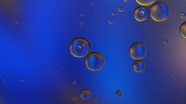 水の上に浮かぶ油滴のカラフルな芸術 — ストック動画