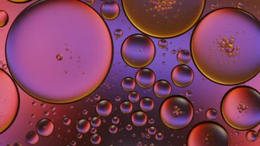 Suyun üzerinde yüzen yağ damlasının renkli sanatçısı.