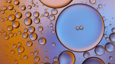 Suyun üzerinde yüzen yağ damlasının renkli sanatçısı.