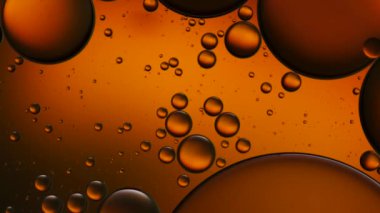 Suyun üzerinde yüzen yağ damlasının renkli sanatçısı.