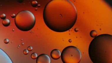 Suyun üzerinde yüzen yağ damlasının renkli sanatçısı.