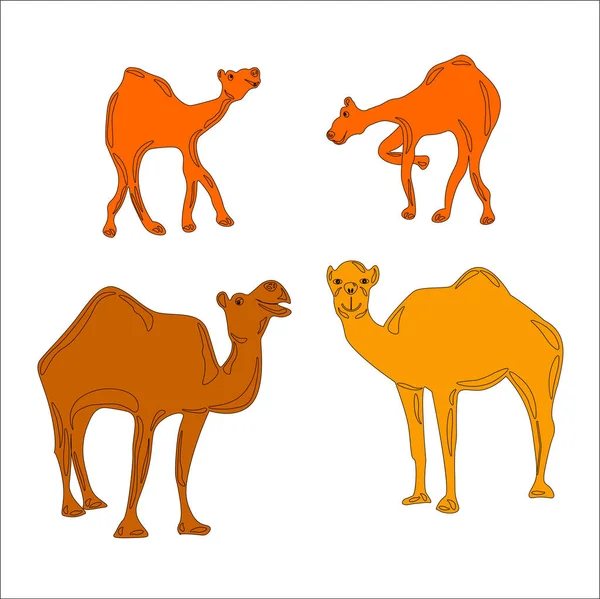 Divertida familia de camellos en un paseo — Vector de stock