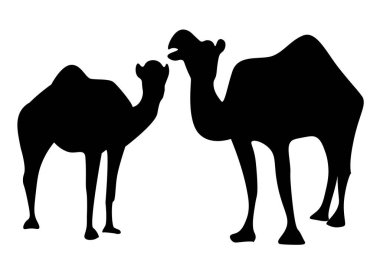 İki deve silueti.