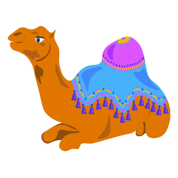 A pretty camel in a bright blanket — Stock Vector