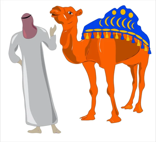 Beduine kommuniziert mit einem Kamel — Stockvektor