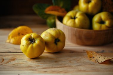 autumn still life with quinces  clipart