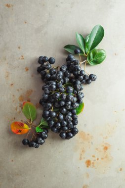 Aronia meyveler yaprakları ile
