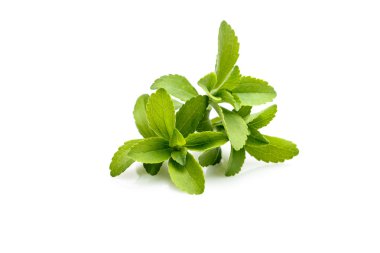 Stevia or Sweet Herb clipart