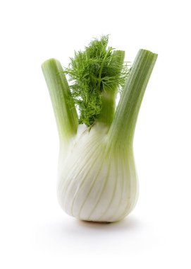 Yaprakları ile rezene ampul