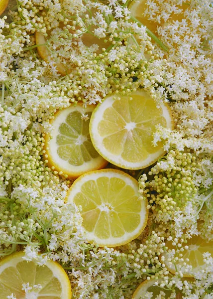 Fiori di sambuco e fette di limone — Foto Stock