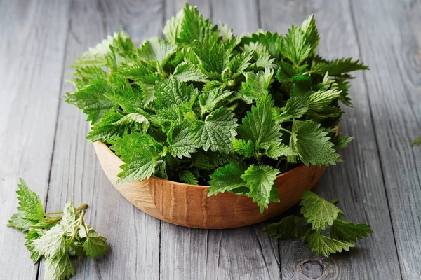 Fresh stinging nettle leaves — Stock Photo, Image