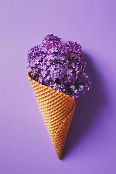 Flowers in wafer ice cream cone — Stock Photo, Image