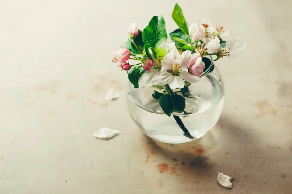 Apple blossoms in glass vase — Stock Photo, Image