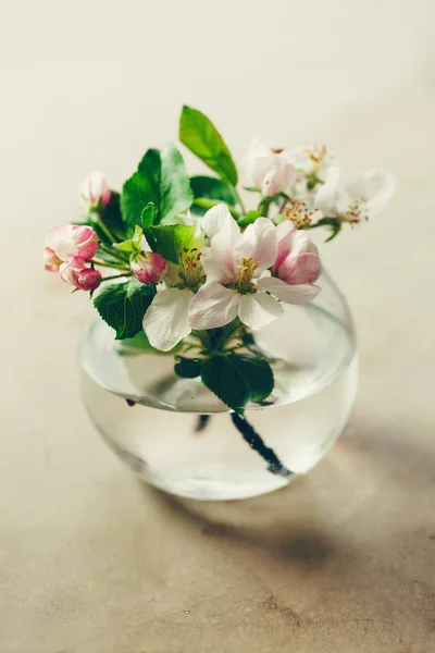 Flores de manzana en jarrón de vidrio — Foto de Stock