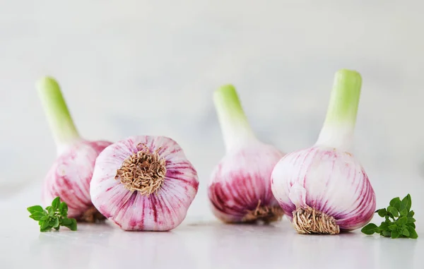 Purple Garlic close up — Stock Photo, Image