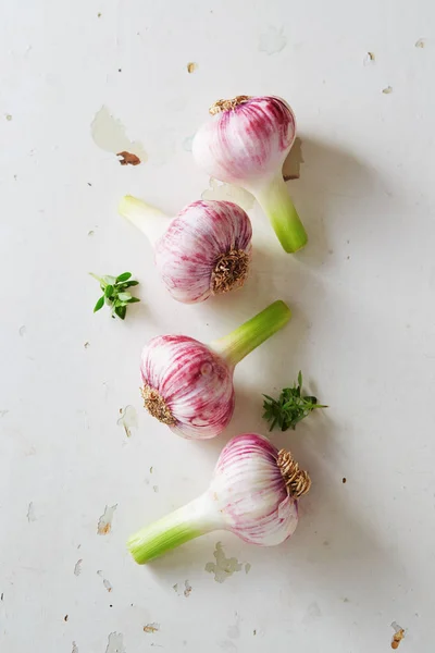 Lila Knoblauch aus nächster Nähe — Stockfoto