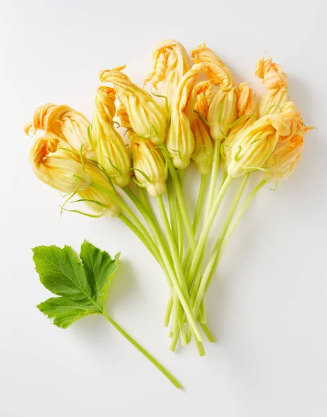 Fresh Yellow zucchini flowers — Stock Photo, Image