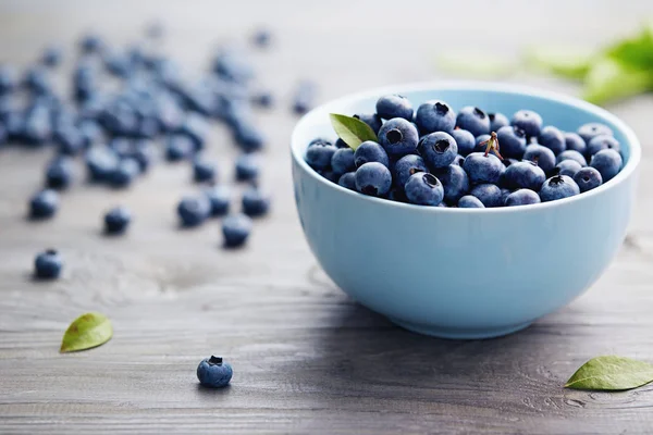 Bowl of organic blueberries — Stock Photo, Image