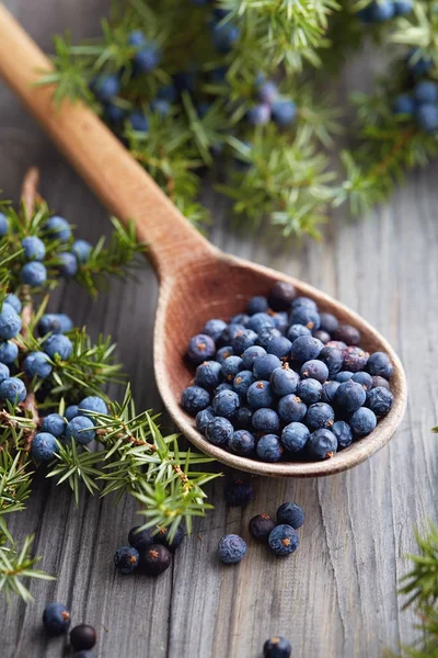Spoon with juniper berries — Stock Photo, Image