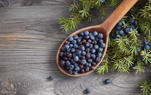 Spoon with juniper berries — Stock Photo, Image