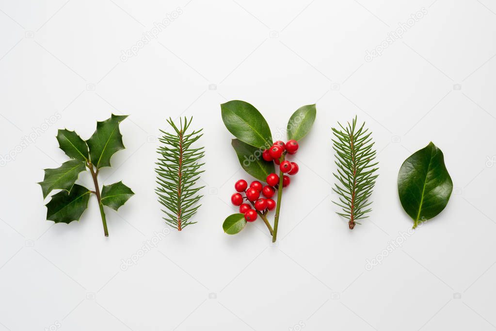 set of Christmas Holly berries 