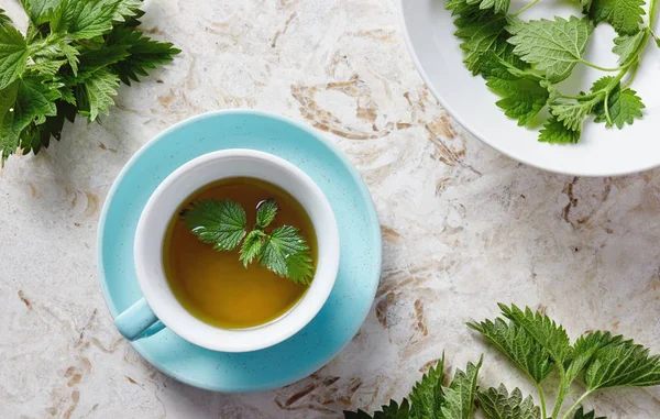 Taza Bálsamo Caliente Con Hojas Menta Verde — Foto de Stock