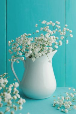 Yumuşak Gypsophila paniculata mavi zemin üzerine beyaz Vazoda Çiçekler. Metin için yer.