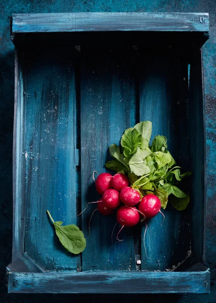 Närbild Foto Färska Röda Rädisor Mörk Blå Trälåda — Stockfoto