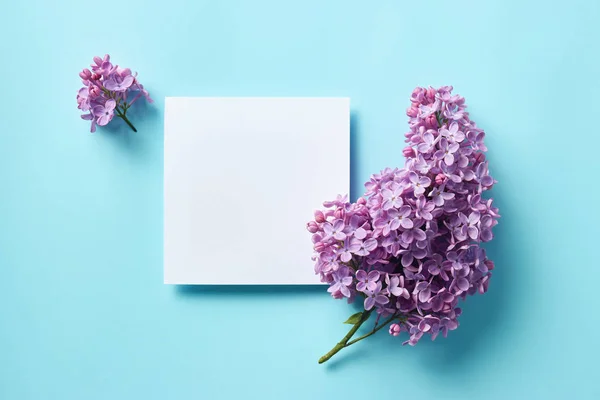 Sprigs Purple Lilac Blank Paper Card Note Blue Background Copy — Stock Photo, Image