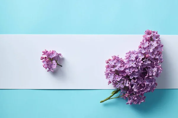 Brindilles Lilas Violet Avec Note Carte Papier Vierge Sur Fond — Photo